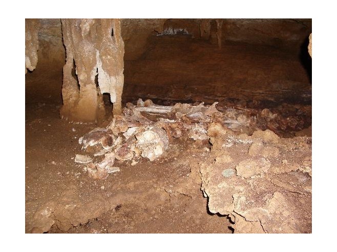 The_Raka_burial_caves_Atiu