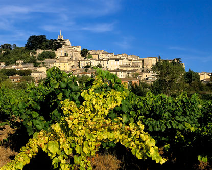 Provence-Vineyards